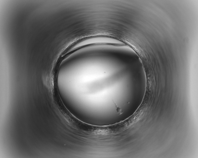 X0000096400350200801241205