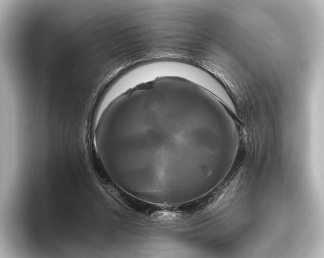 X0000096400352200801241205