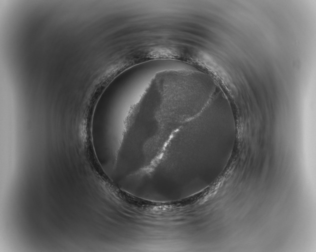 X0000096400353200801241205