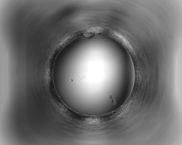 X0000096400354200801241205