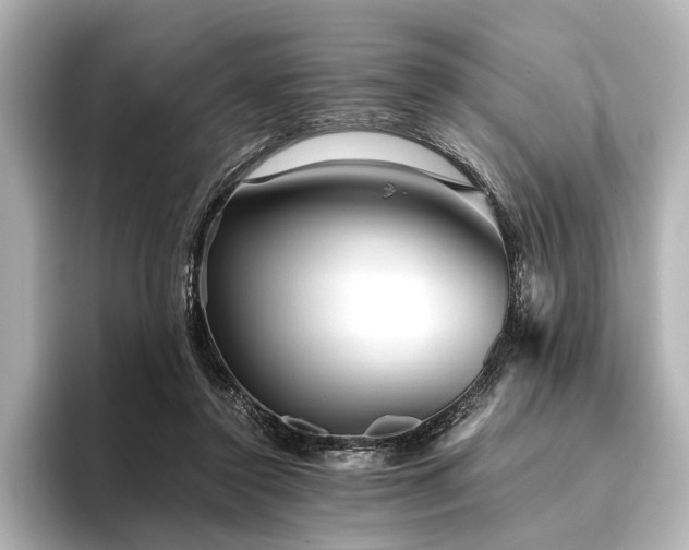 X0000096400356200801241205