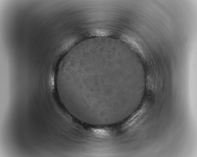 X0000096400358200801241205