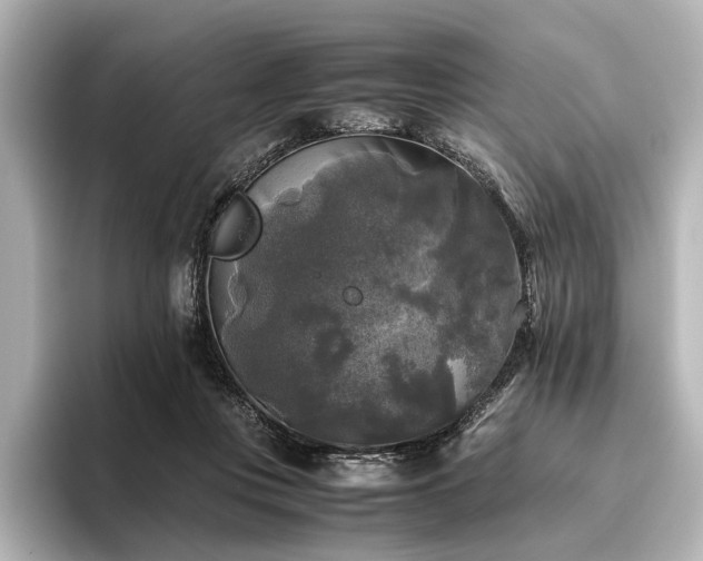 X0000096400359200801241205