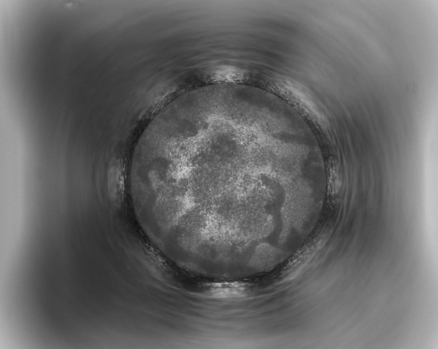 X0000096400363200801241205