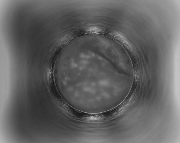 X0000096400365200801241205