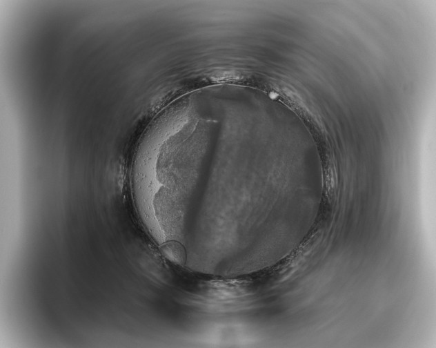 X0000096400367200801241205