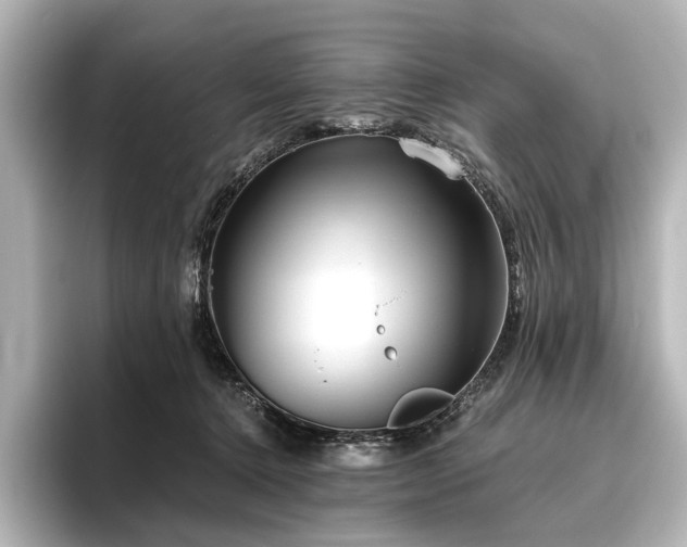 X0000096400368200801241205