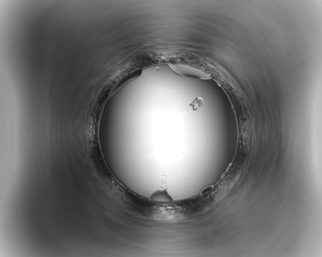 X0000096400372200801241205