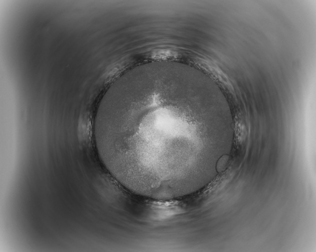 X0000096400375200801241205