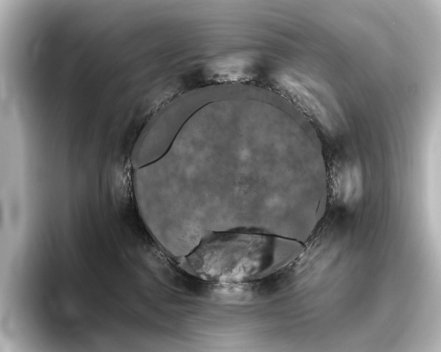 X0000096400376200801241205