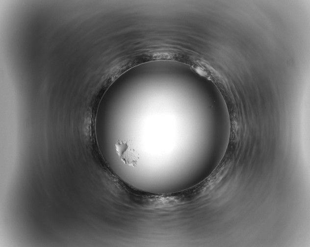 X0000096400379200801241205