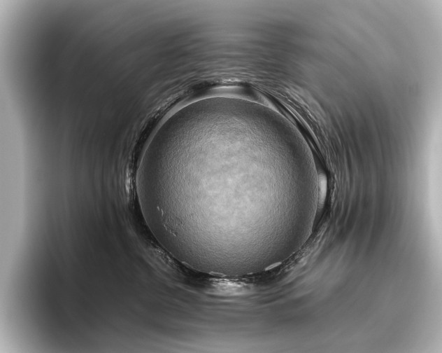 X0000096400380200801241205