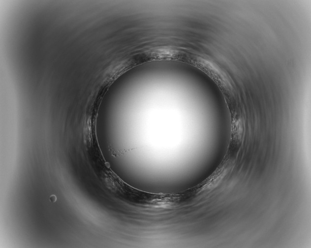 X0000096400381200801241205