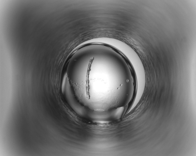 X0000096400382200801241205