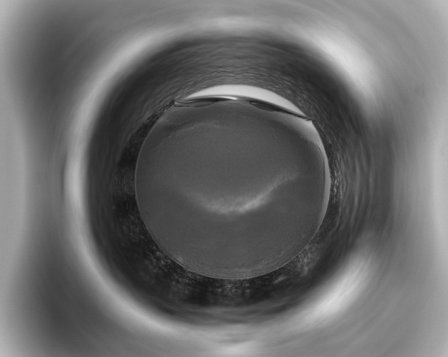 X0000096400383200801241205