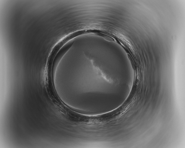 X0000096400388200801241205