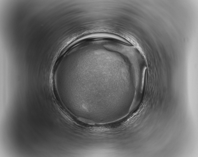 X0000096400389200801241205