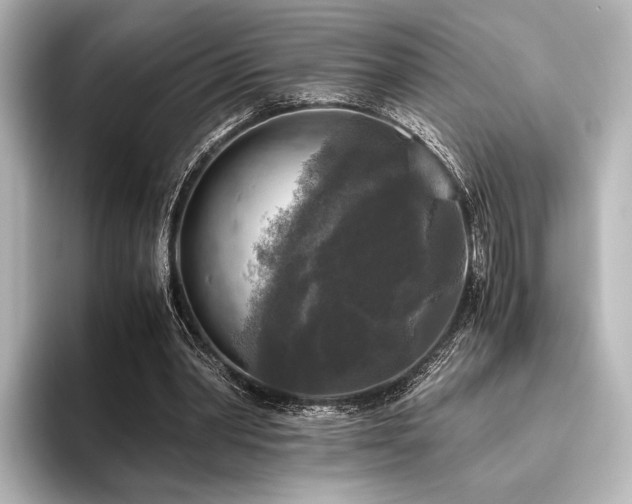 X0000096400390200801241205