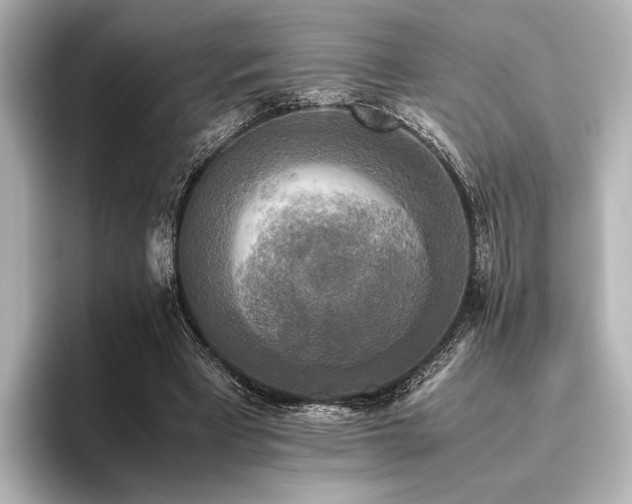 X0000096400393200801241205