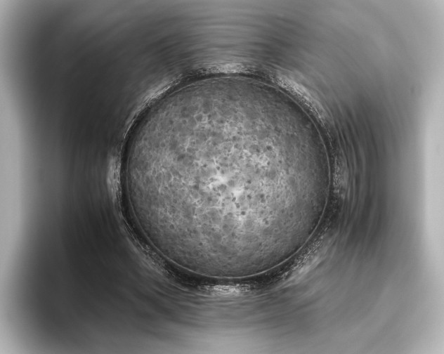 X0000096400394200801241205