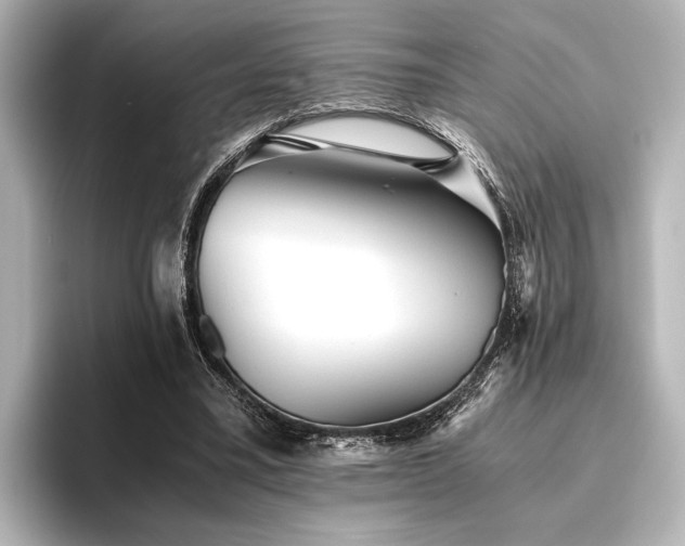 X0000096400395200801241205