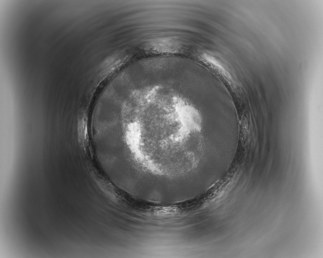 X0000096400398200801241205