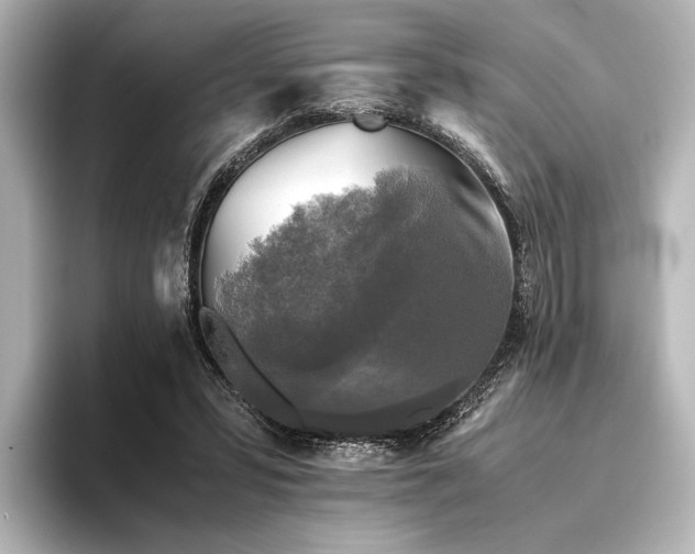 X0000096400399200801241205