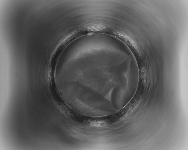 X0000096400400200801241205