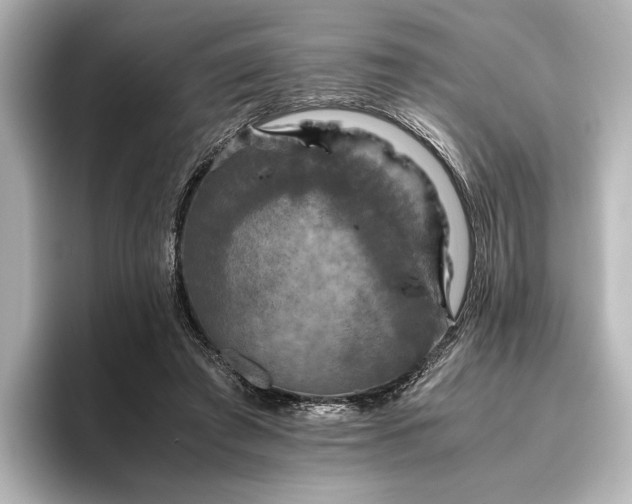 X0000096400401200801241205