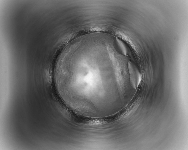 X0000096400402200801241205