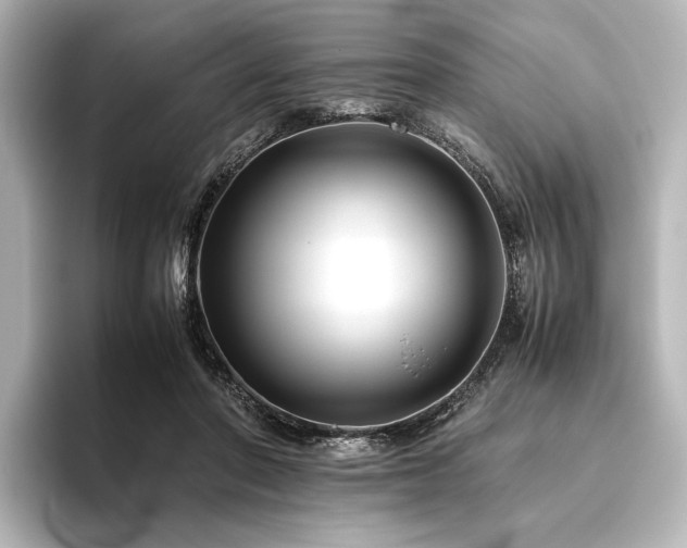 X0000096400406200801241205