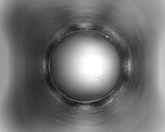 X0000096400408200801241205