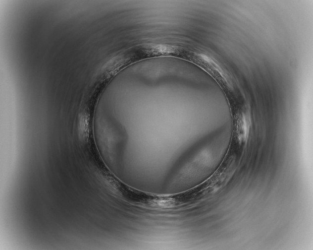 X0000096400410200801241205