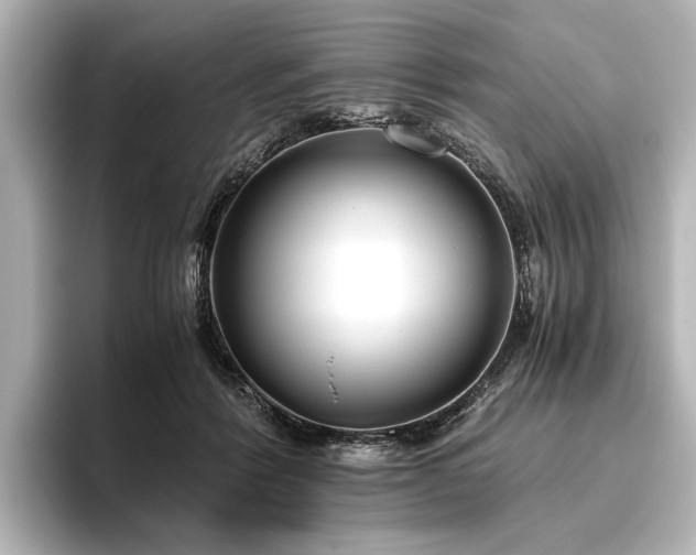 X0000096400412200801241205