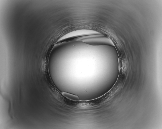 X0000096400413200801241205