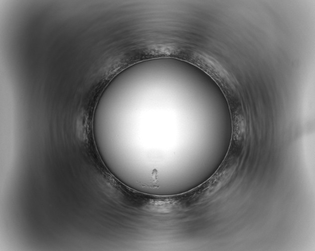 X0000096400414200801241204