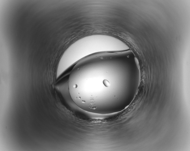 X0000096400415200801241204