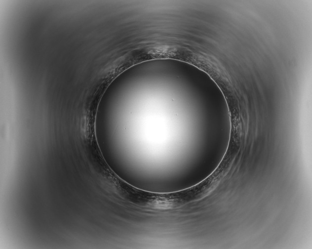 X0000096400416200801241204