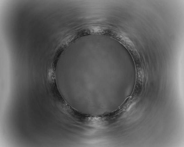 X0000096400419200801241204