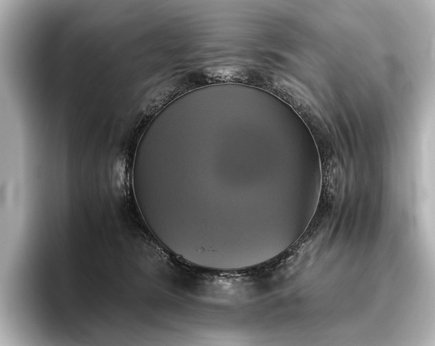 X0000096400420200801241204