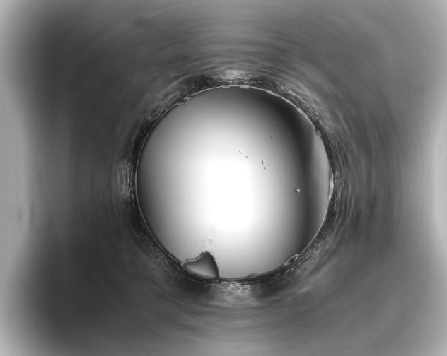 X0000096400421200801241204