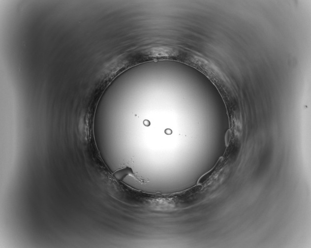 X0000096400422200801241204