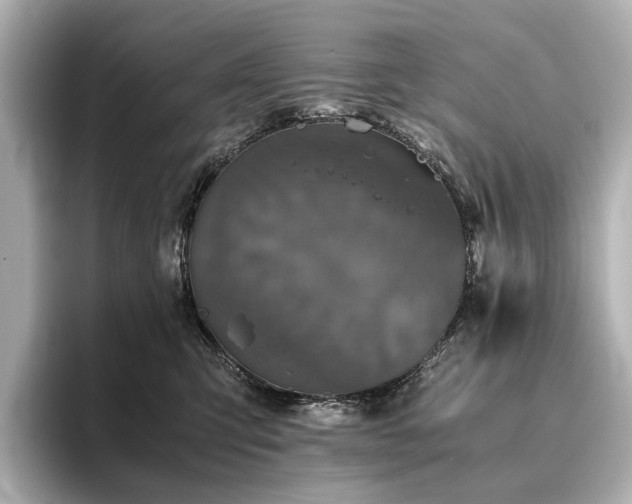 X0000096400423200801241204