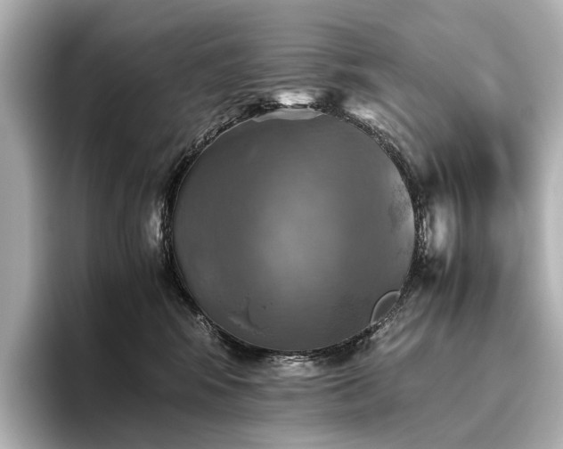 X0000096400424200801241204