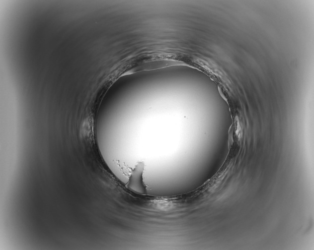 X0000096400425200801241204