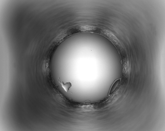 X0000096400426200801241204