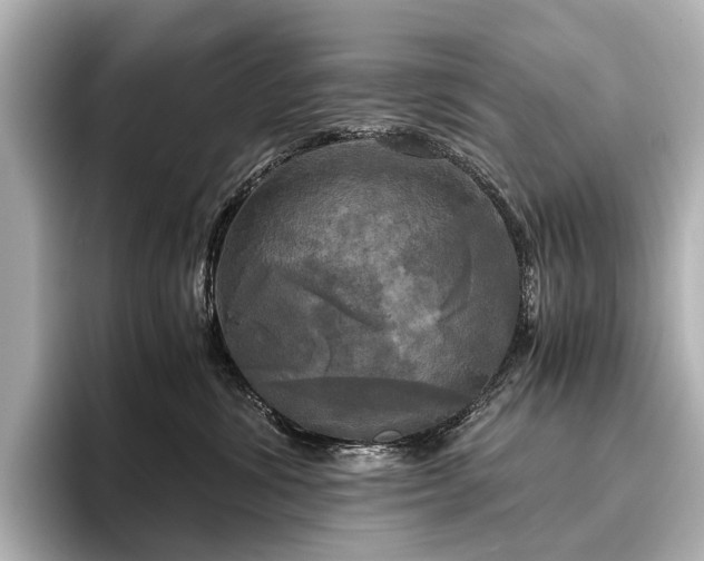 X0000096400428200801241204