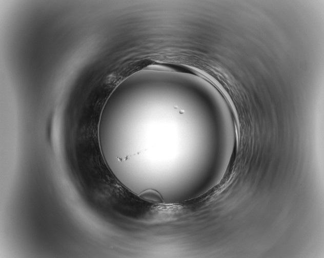 X0000096400429200801241204