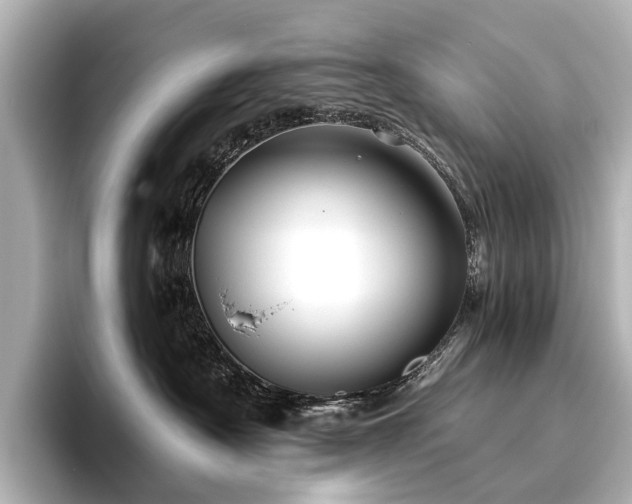 X0000096400430200801241204