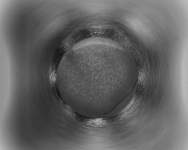 X0000096400431200801241204